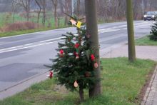 pfiffikus-03122014 006.jpg