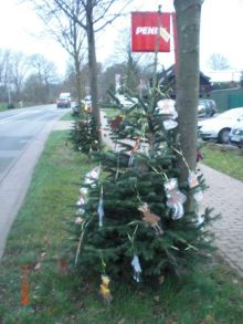 pfiffikus-30112014 007.jpg