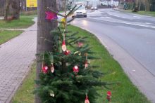 pfiffikus-03122014 004.jpg